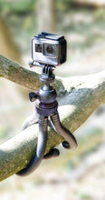 Load image into Gallery viewer, Universal Flexible Tripod with 360 Degree Ball Head & Rubberized Bendable Legs